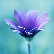 Схема вышивки «Колокольчик»