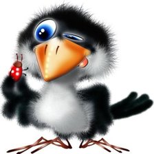 Схема вышивки «ворона»