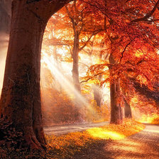 Схема вышивки «№634414»