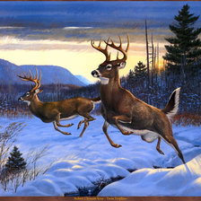 Схема вышивки «олени»