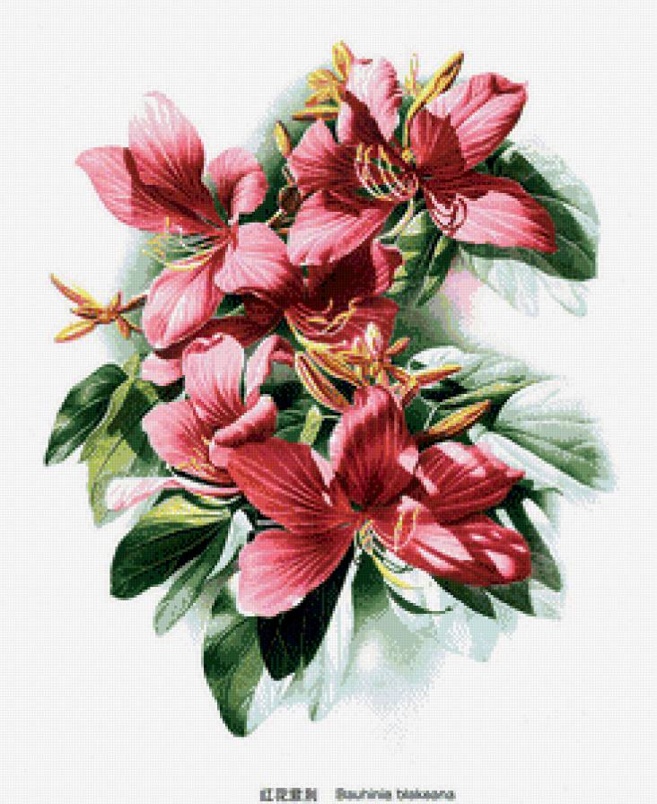 лилия - панно, растения, природа, лилия, цветок - предпросмотр