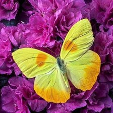 Схема вышивки «№634540»