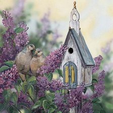 Схема вышивки «скворечник»