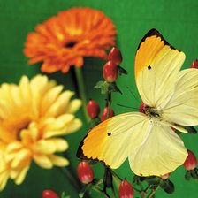 Схема вышивки «№634657»