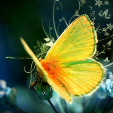 Схема вышивки «№634681»