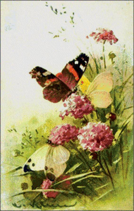 №634790 - бабочки - предпросмотр