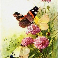 Схема вышивки «№634790»