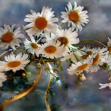 Схема вышивки «№635004»