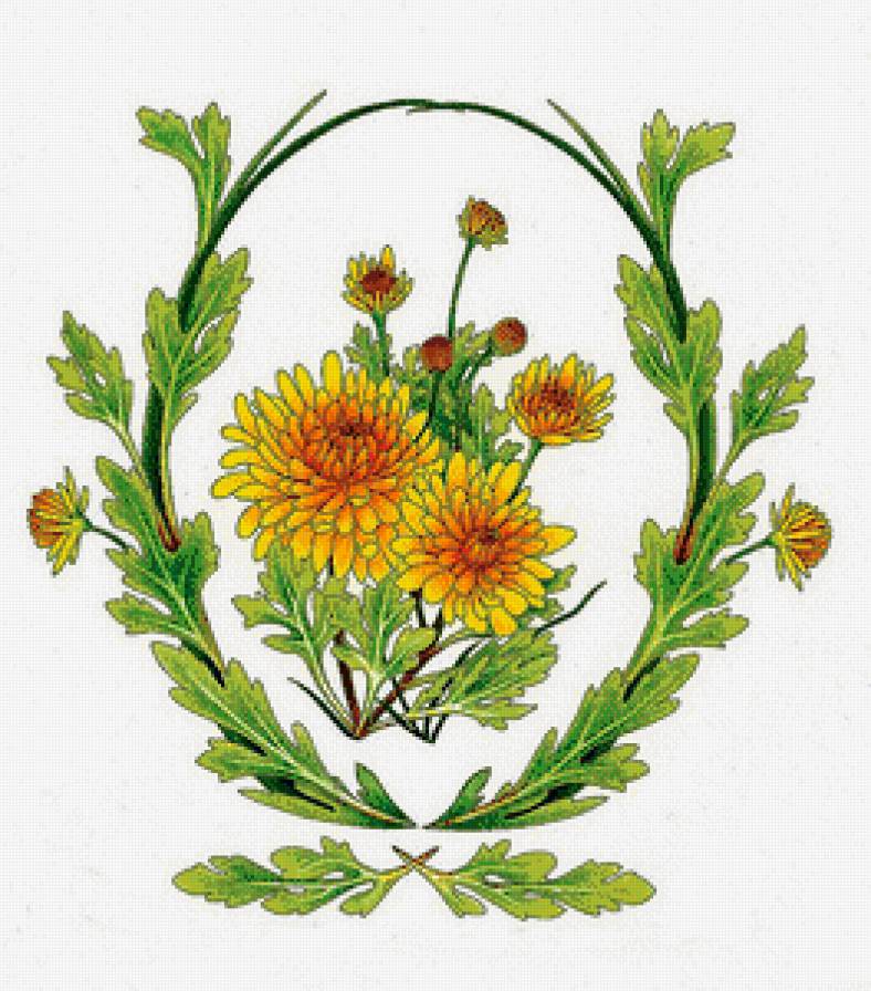 №635042 - предпросмотр