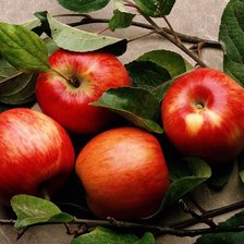 Схема вышивки «яблоки»