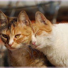 Схема вышивки «ну прости я больше не буду...»