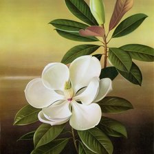 Схема вышивки «№635187»