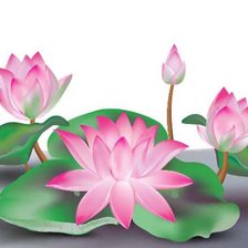 Схема вышивки «Лотосы»