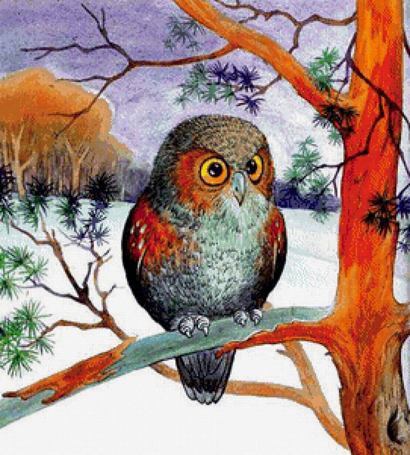 Сова - птицы, дерево - предпросмотр