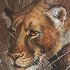 Схема вышивки «Львица»