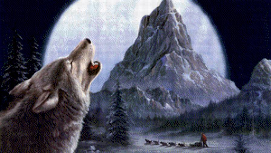 зимняя ночь - волк, животные, пейзаж - предпросмотр