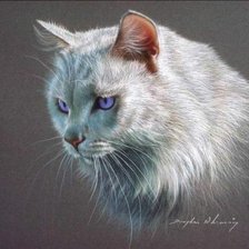 Схема вышивки «кошка»