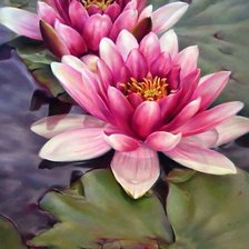 Схема вышивки «Лилии»