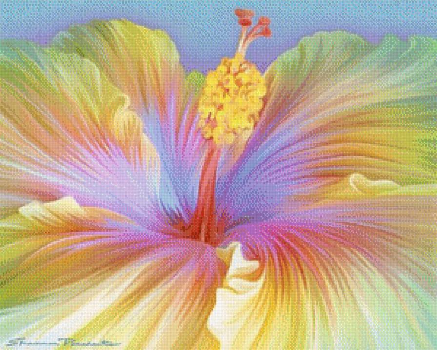 Гибискус - гибискус, растения, цветы - предпросмотр