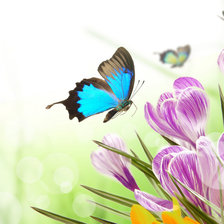 Схема вышивки «№635609»