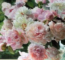 Схема вышивки «№635708»