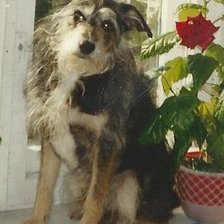 Схема вышивки «Малыш»