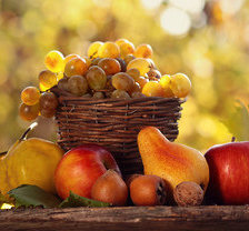 Схема вышивки «№635767»