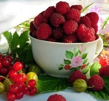 Схема вышивки «№635785»