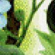 Предпросмотр схемы вышивки «ягоды» (№635786)