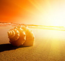 Схема вышивки «№635864»