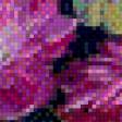 Предпросмотр схемы вышивки «Peonie» (№635950)