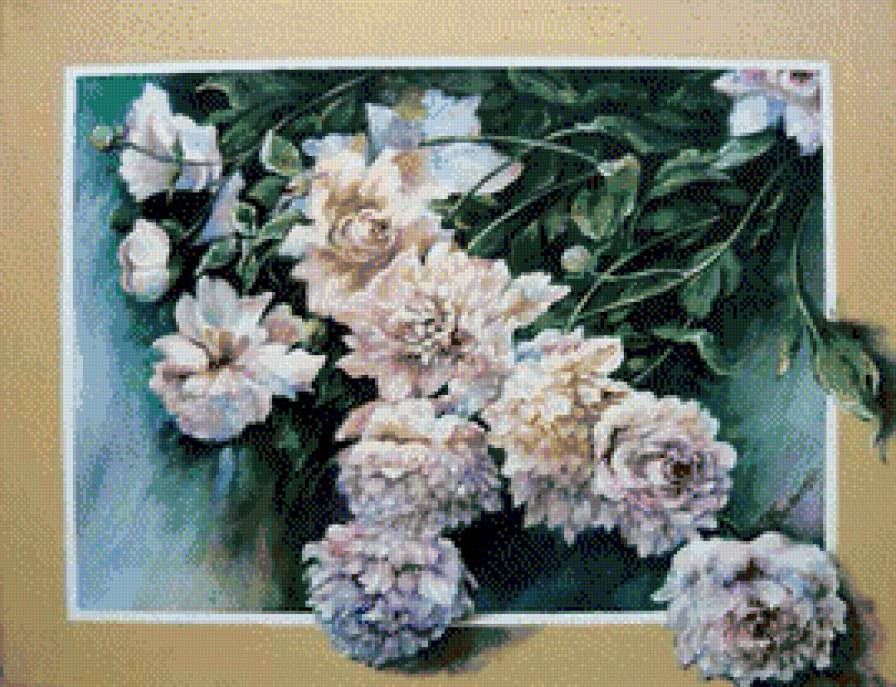 peonie - peonie, kwiaty - предпросмотр