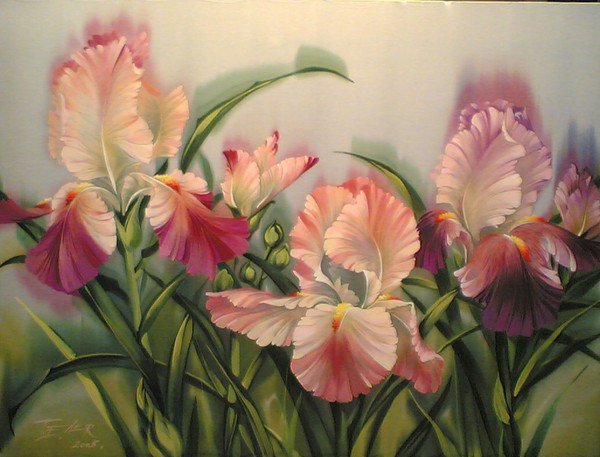 Elena Tener - mieczyki - оригинал