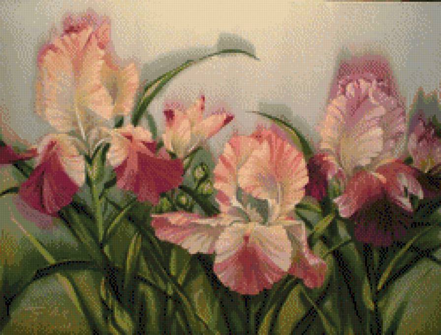 Elena Tener - mieczyki - предпросмотр