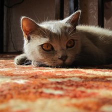 Схема вышивки «ляля1»