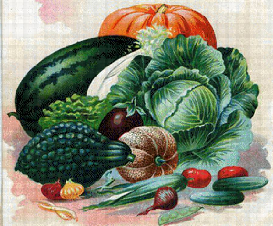 овощи - для кухни - предпросмотр