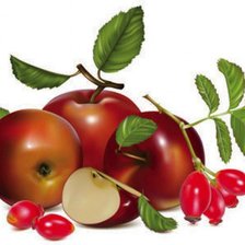 Схема вышивки «Яблоки и шиповник»