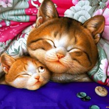 Схема вышивки «Я еще не сплю.»