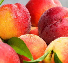 Схема вышивки «№636478»