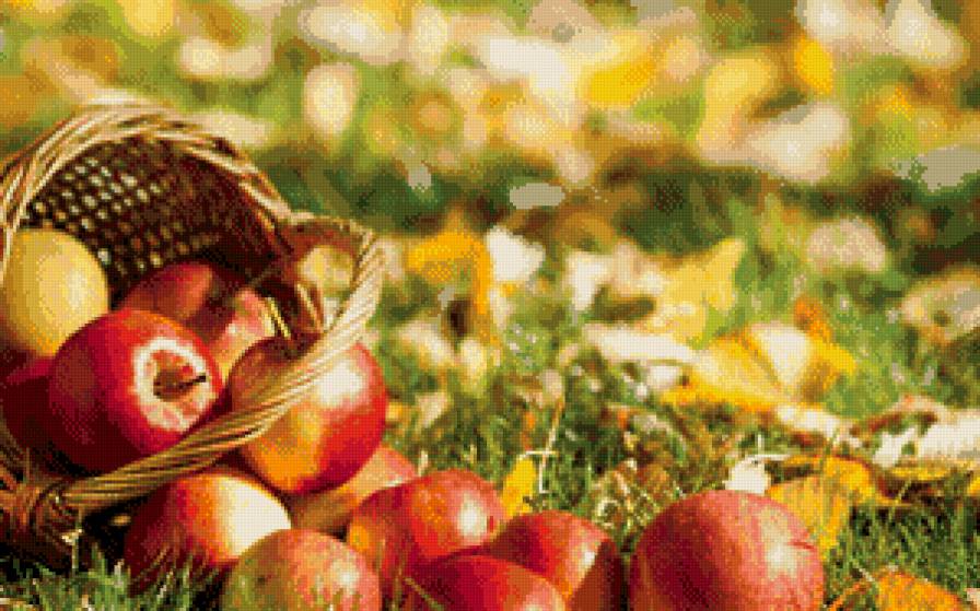 №636551 - фрукты.кухня - предпросмотр