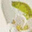 Предпросмотр схемы вышивки «№636605»