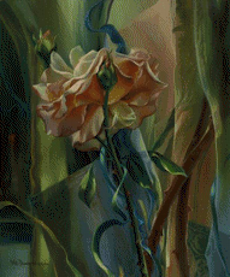 roza - roza - предпросмотр