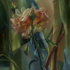 Схема вышивки «roza»