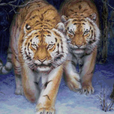 Схема вышивки «тигры»