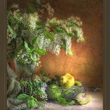 Схема вышивки «kwiaty»