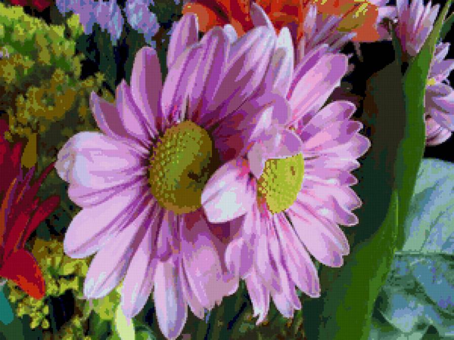 cереневое вдохновение - цветы - предпросмотр