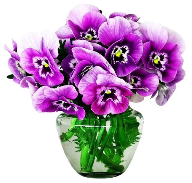 №636878 - оригинал