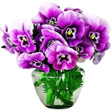 Схема вышивки «№636878»