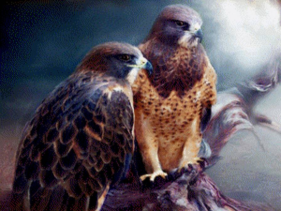 гордые птицы - птицы, животные - предпросмотр