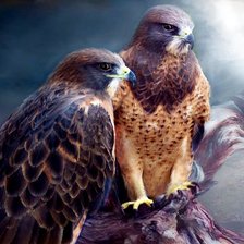 Схема вышивки «гордые птицы»